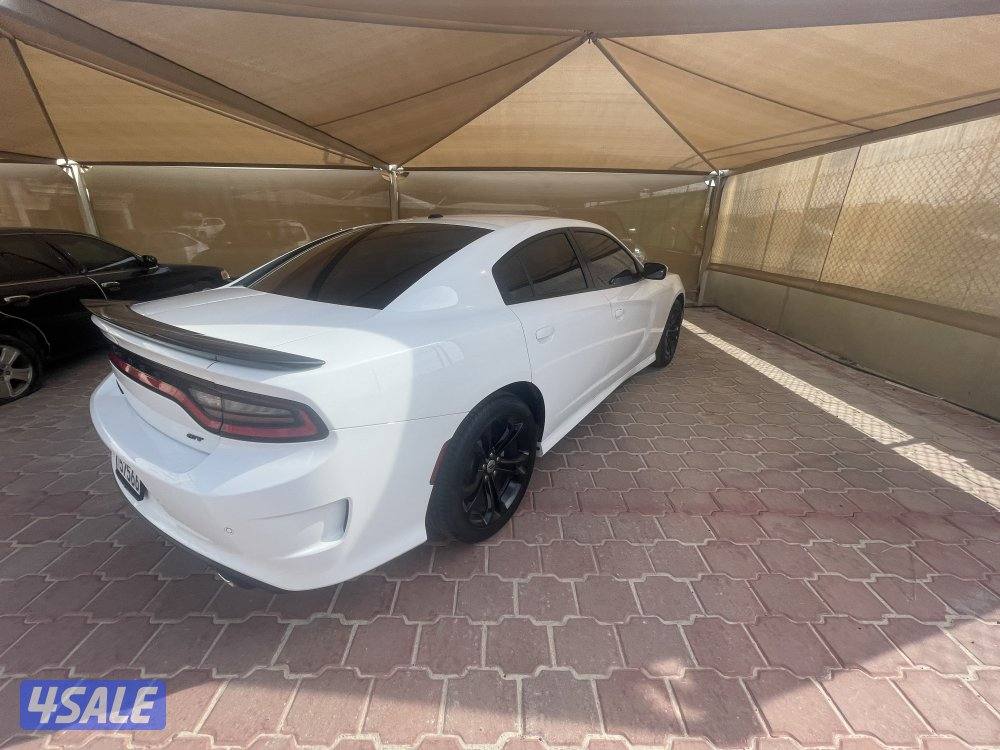 للبيع دوج تشارجر GT موديل 2022 صبغ الوكاله5