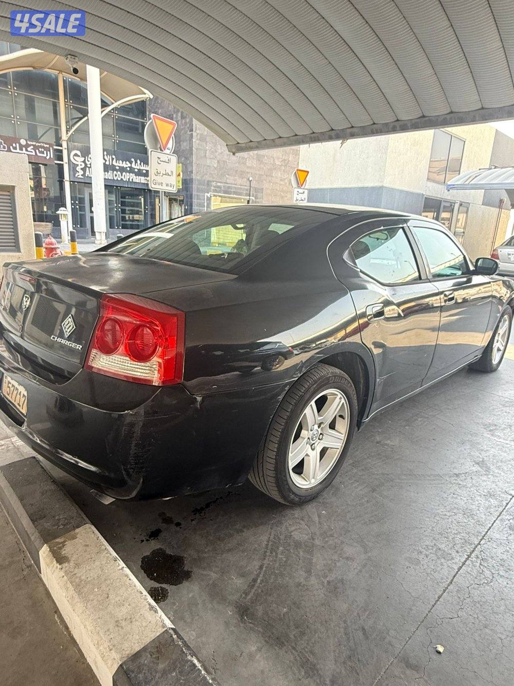 اللبيع ٢٠١٠1