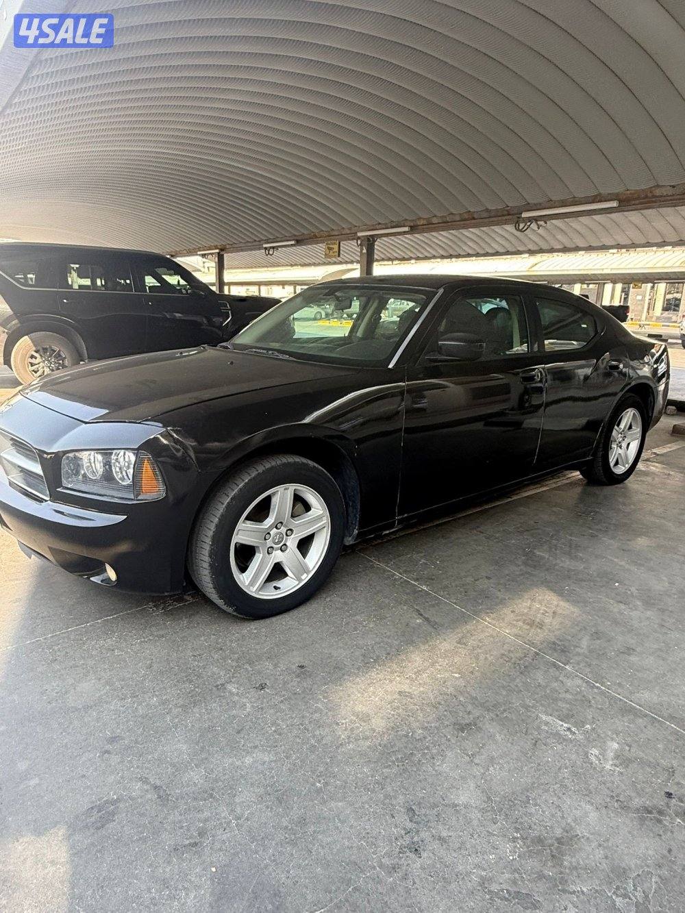 اللبيع ٢٠١٠2