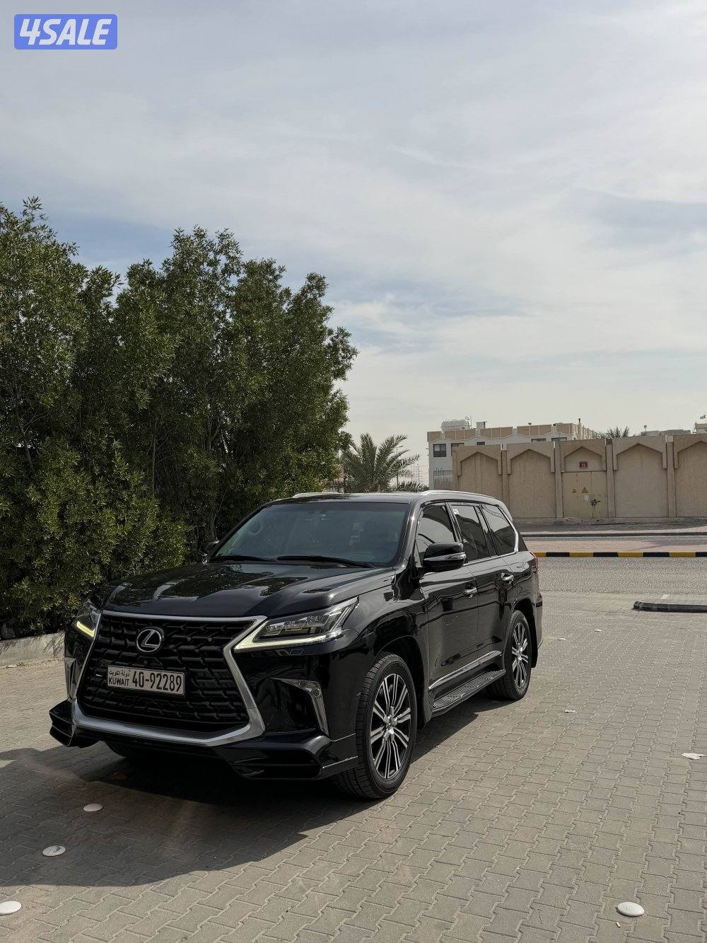 صبغ الوكالة1