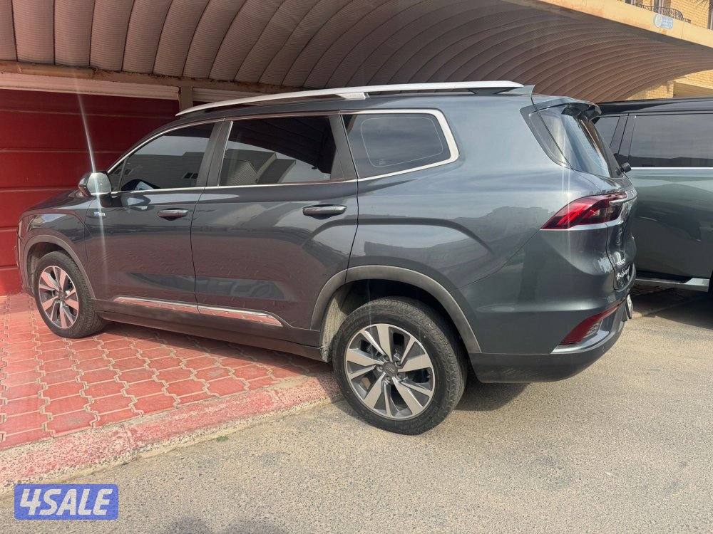 سيرفس منتظم/ جيب جيلي 20224