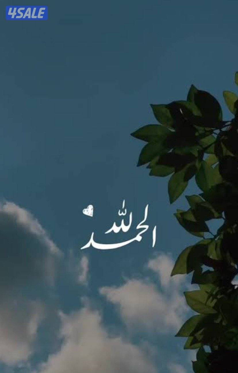 محاسب خبره اكثر من ٢٠ سنه دوام كامل او جزئي او زيارات0