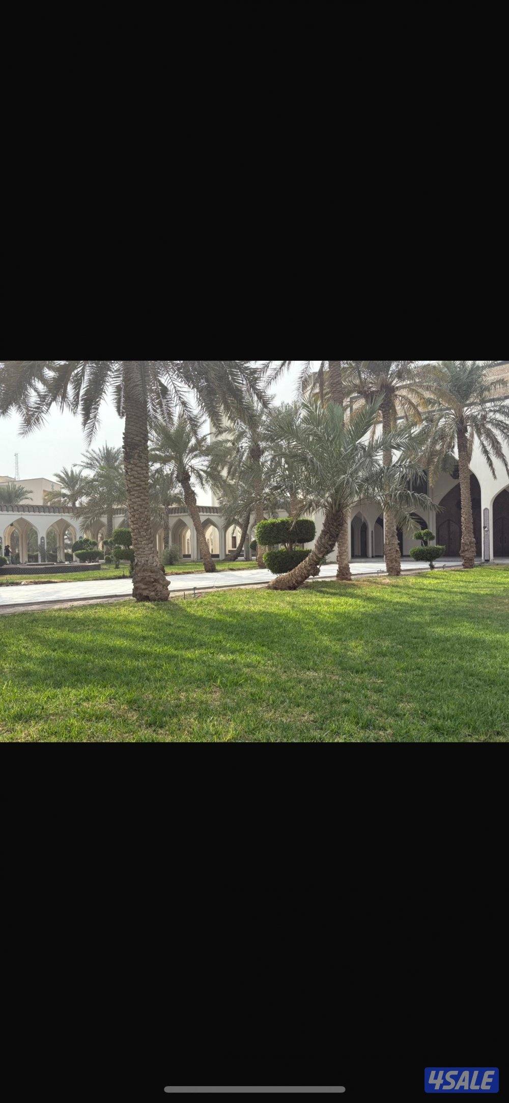 للايجار شقة بصباح الاحمد0