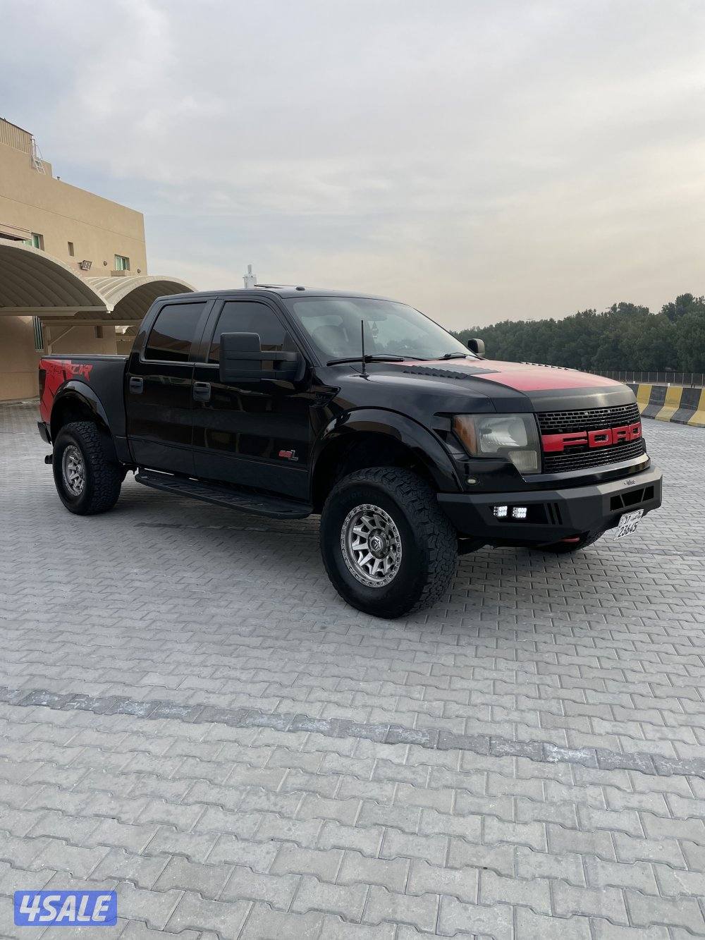 للبيع وانيت رابتر صبغ وكاله1