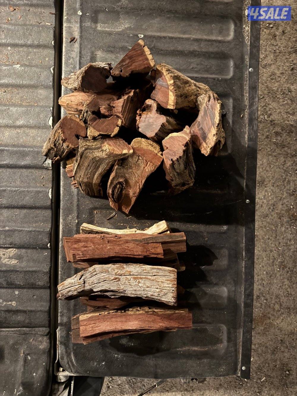 حطب افريقي3