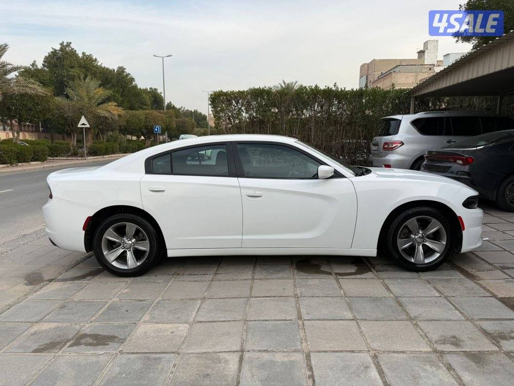 صبغ الوكالة المالك الثاني من الوكالة2