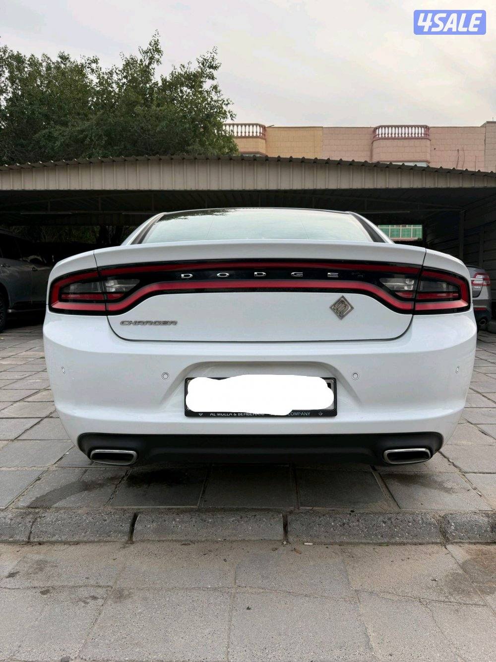 صبغ الوكالة المالك الثاني من الوكالة4