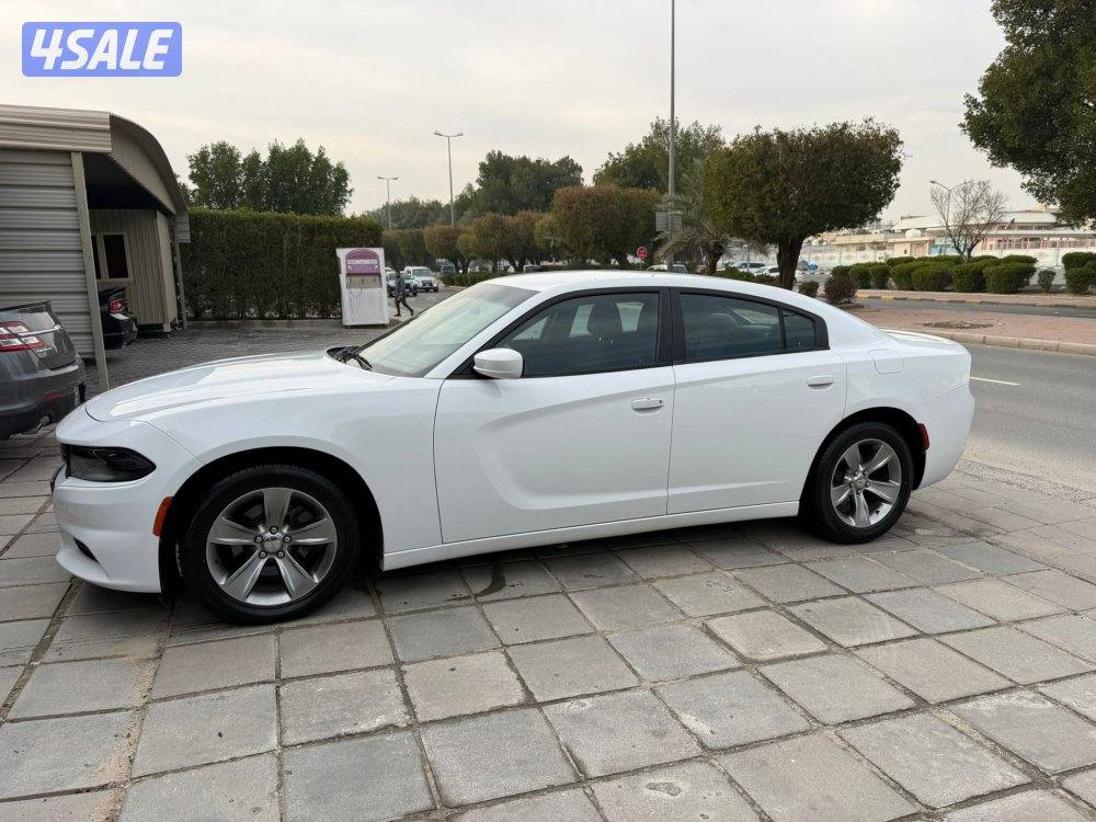 صبغ الوكالة المالك الثاني من الوكالة3