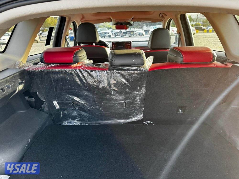 هافال جوليون 202412