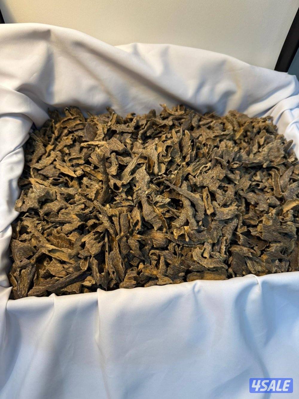 ثمن بيزا موري ملكي فاخر جدآ نكهه سويتيه جميله جدآ جدآ3