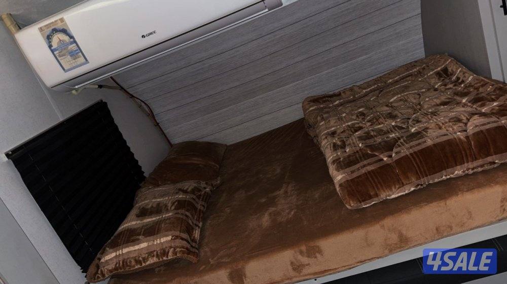 Forest river ( platinum ) 20218