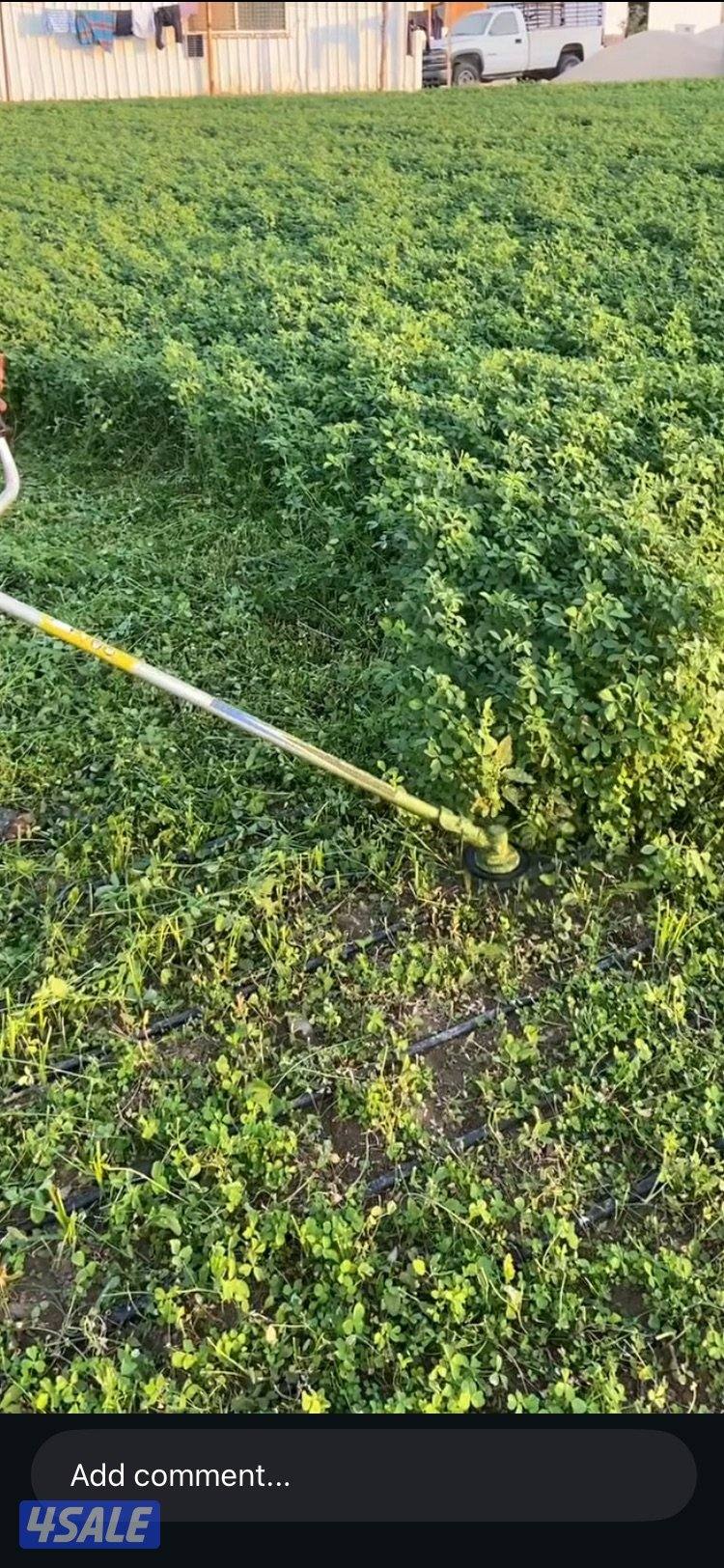 للبيع برسيم جت طري3