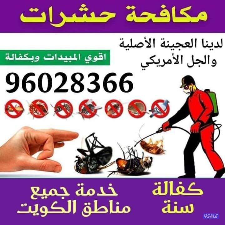 @مكافحه@ حشرات@رش@ حشرات @0