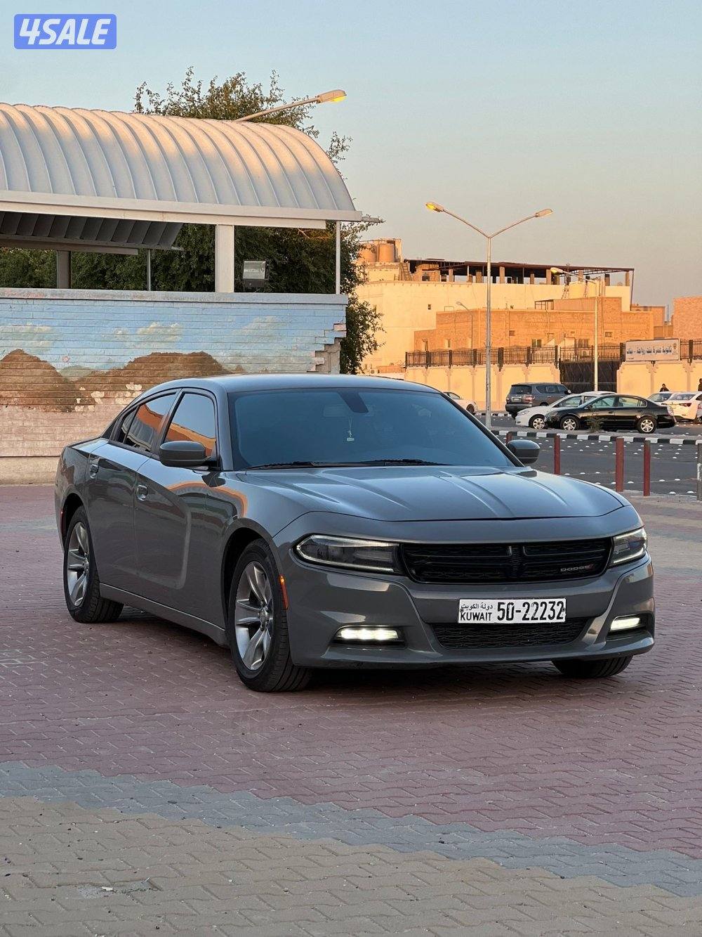 صبغ الوكاله شرط الفحص1