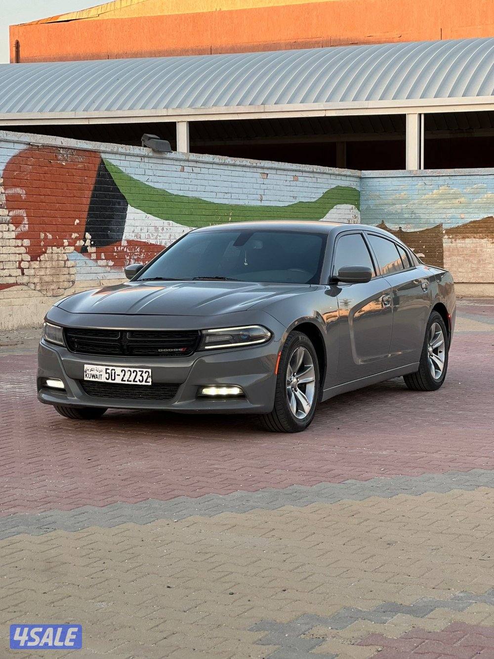 صبغ الوكاله شرط الفحص2