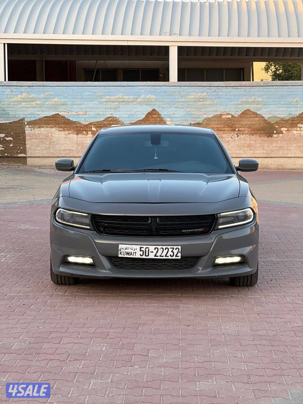 صبغ الوكاله شرط الفحص4