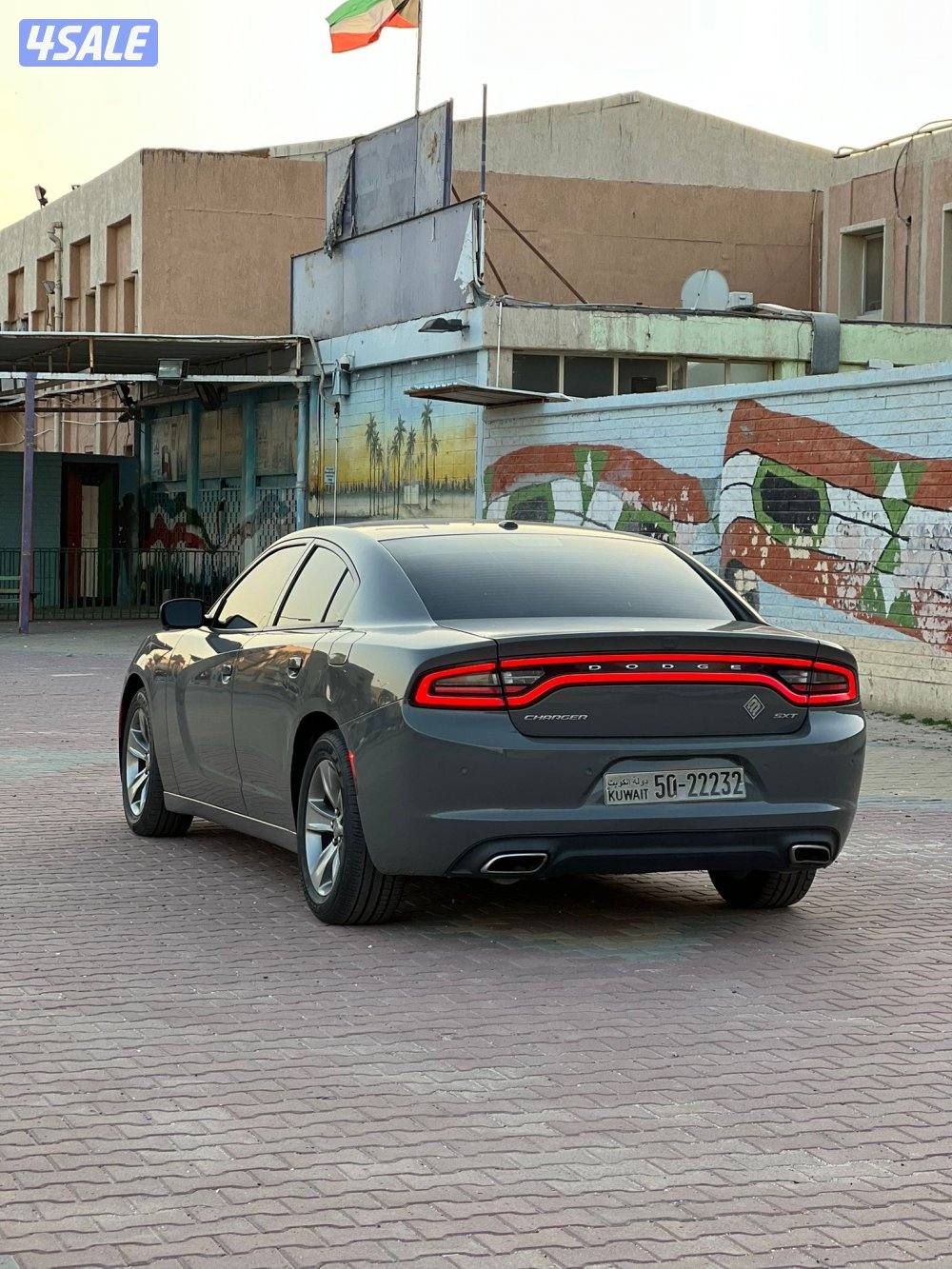 صبغ الوكاله شرط الفحص5