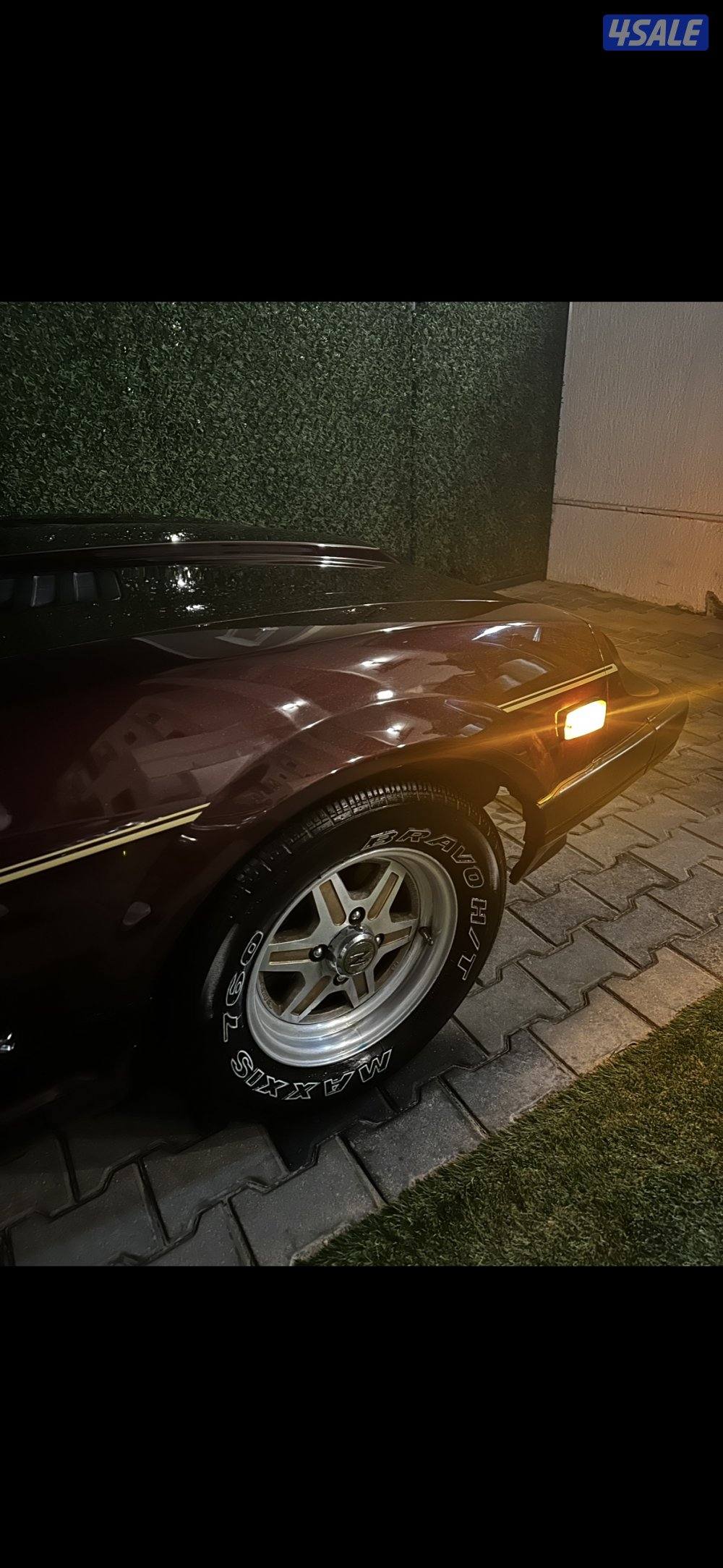 فورسيت زد 19823