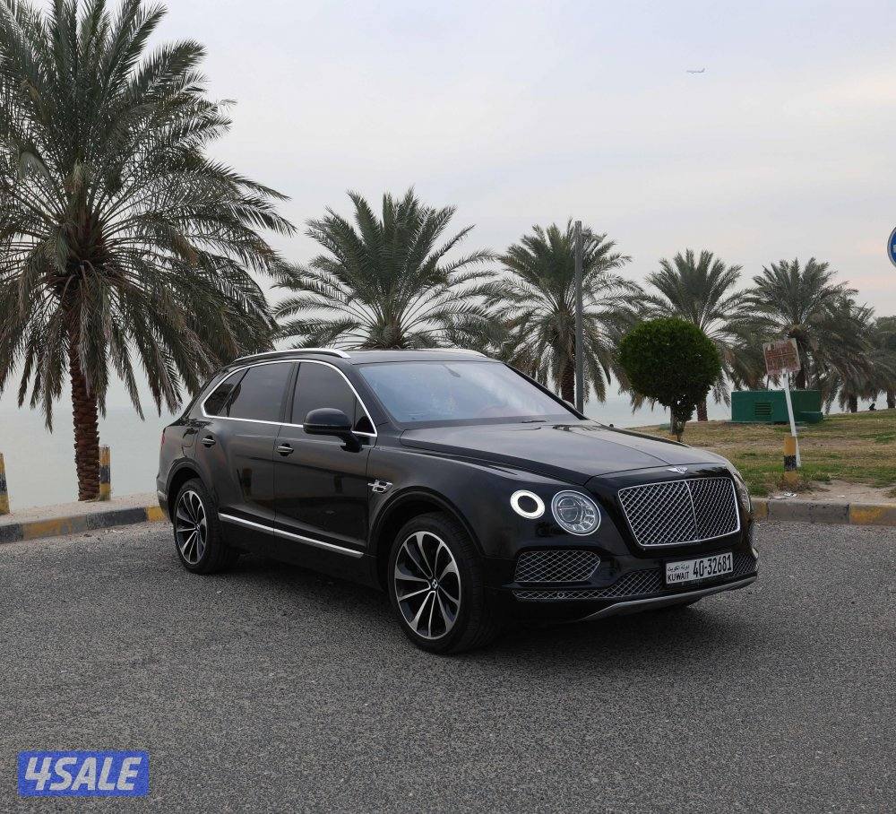 بينتايجا 2017 وارد الزياني عداد 163 الف1