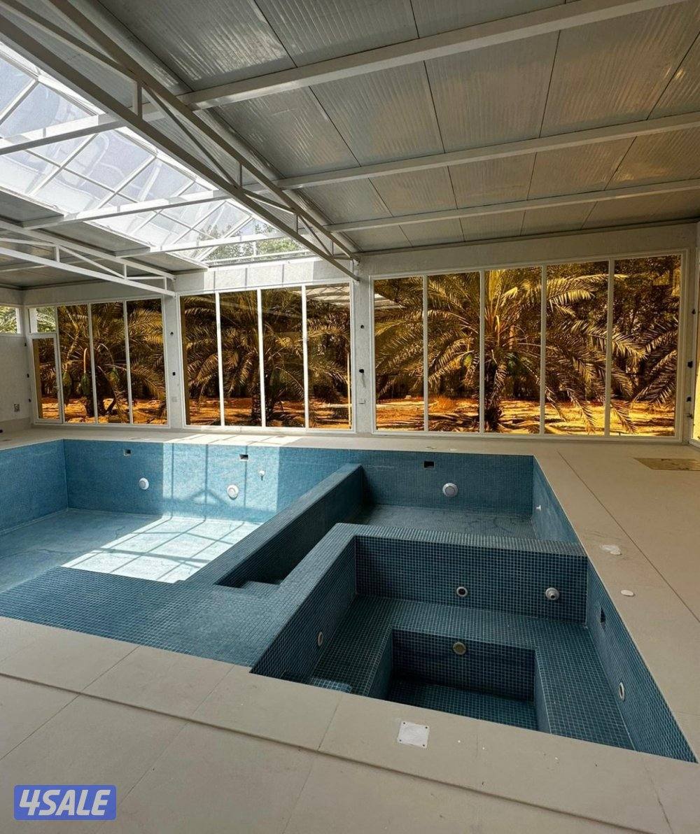 فاني المينوم زوهير14