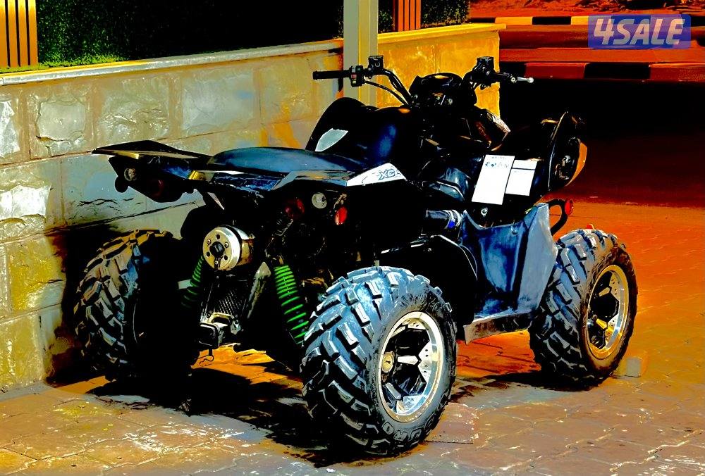 Arctic cat xc450 cc3