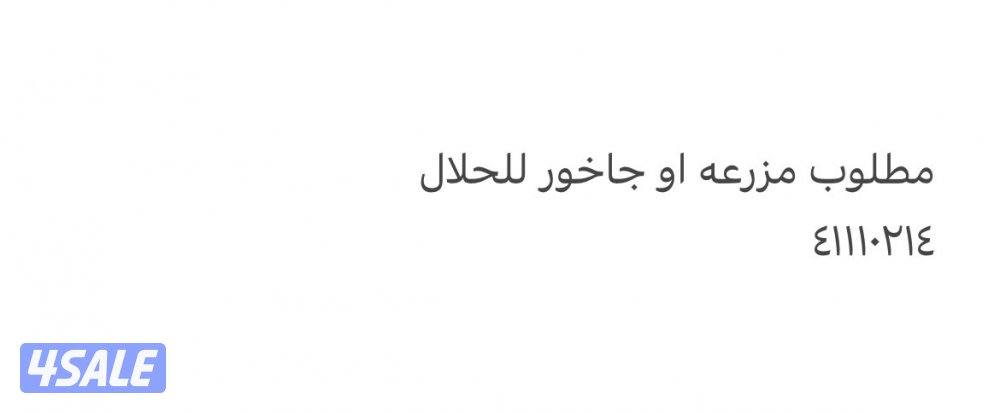 مطلوب مزرعه او جاخور للحلال التواصل واتس اب0