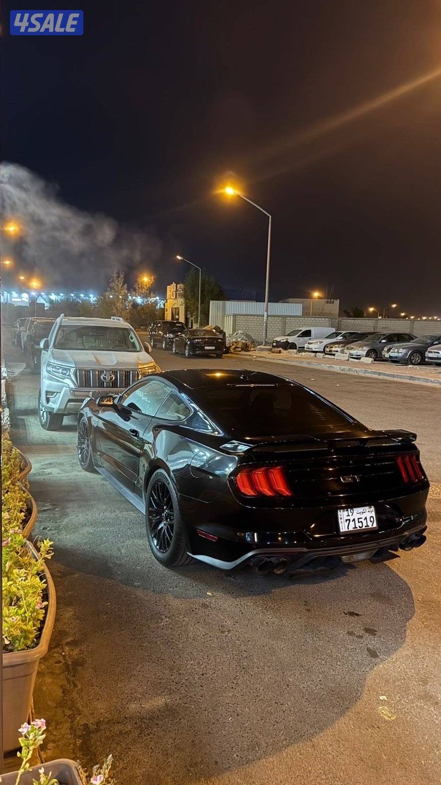 موستنغ 20194
