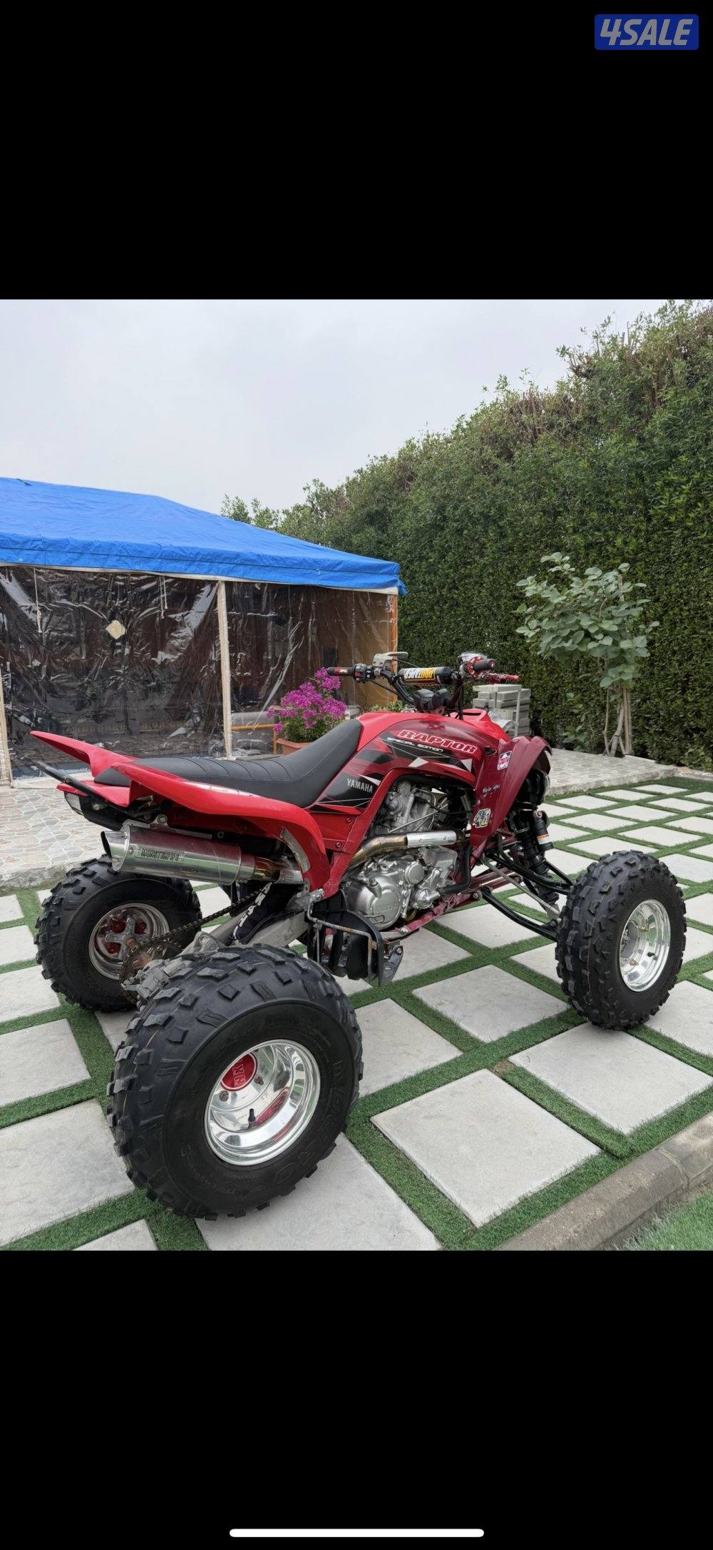 للبيع رابتر 20191