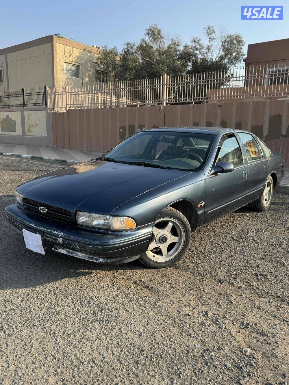 البيع جمله او مفرق كوابرس SS19962