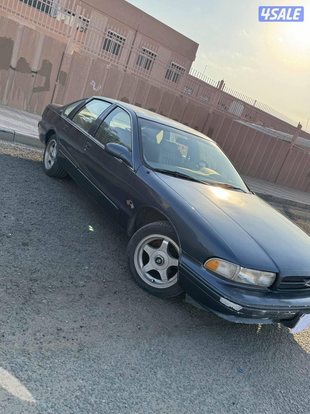 البيع جمله او مفرق كوابرس SS19963