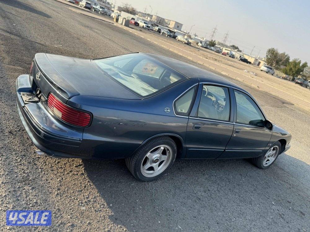 البيع جمله او مفرق كوابرس SS19967