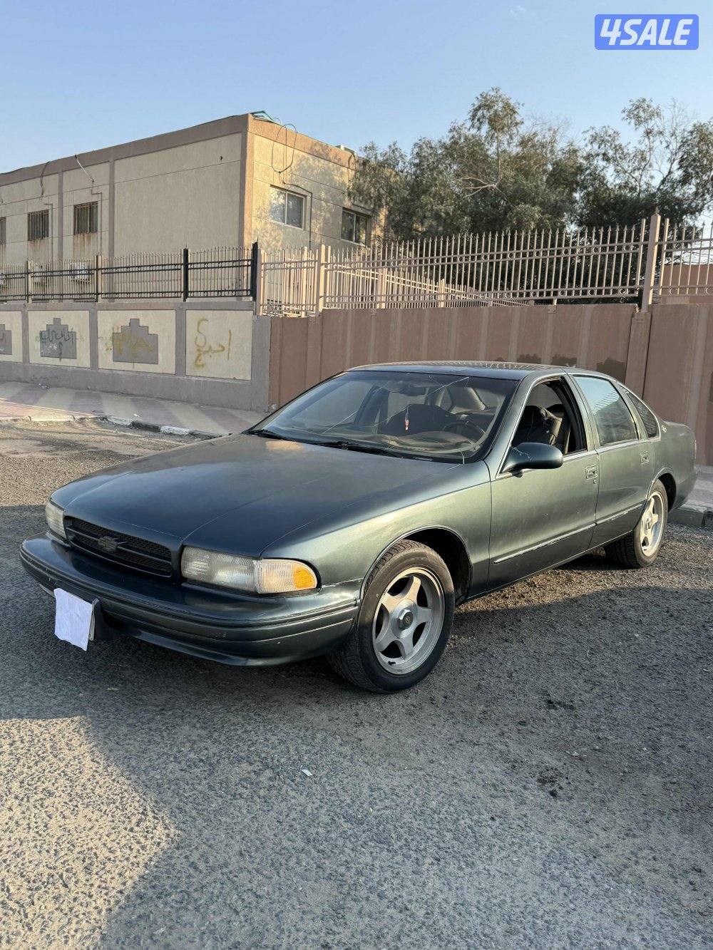 البيع جمله او مفرق كوابرس SS19968