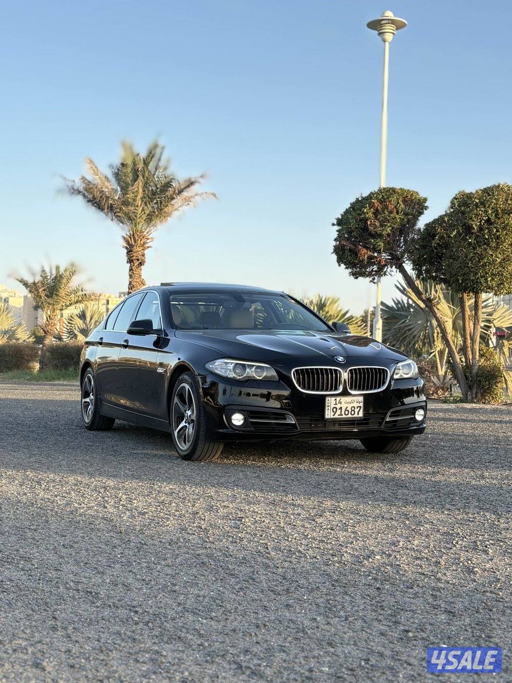 BMW 528i / 20161