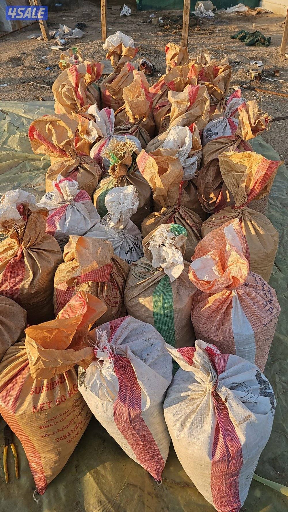 للبيع تمر علف0