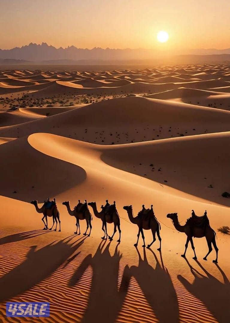 ابحث عن عمل كسائق خاص او مراسل خاص في  او خاص0