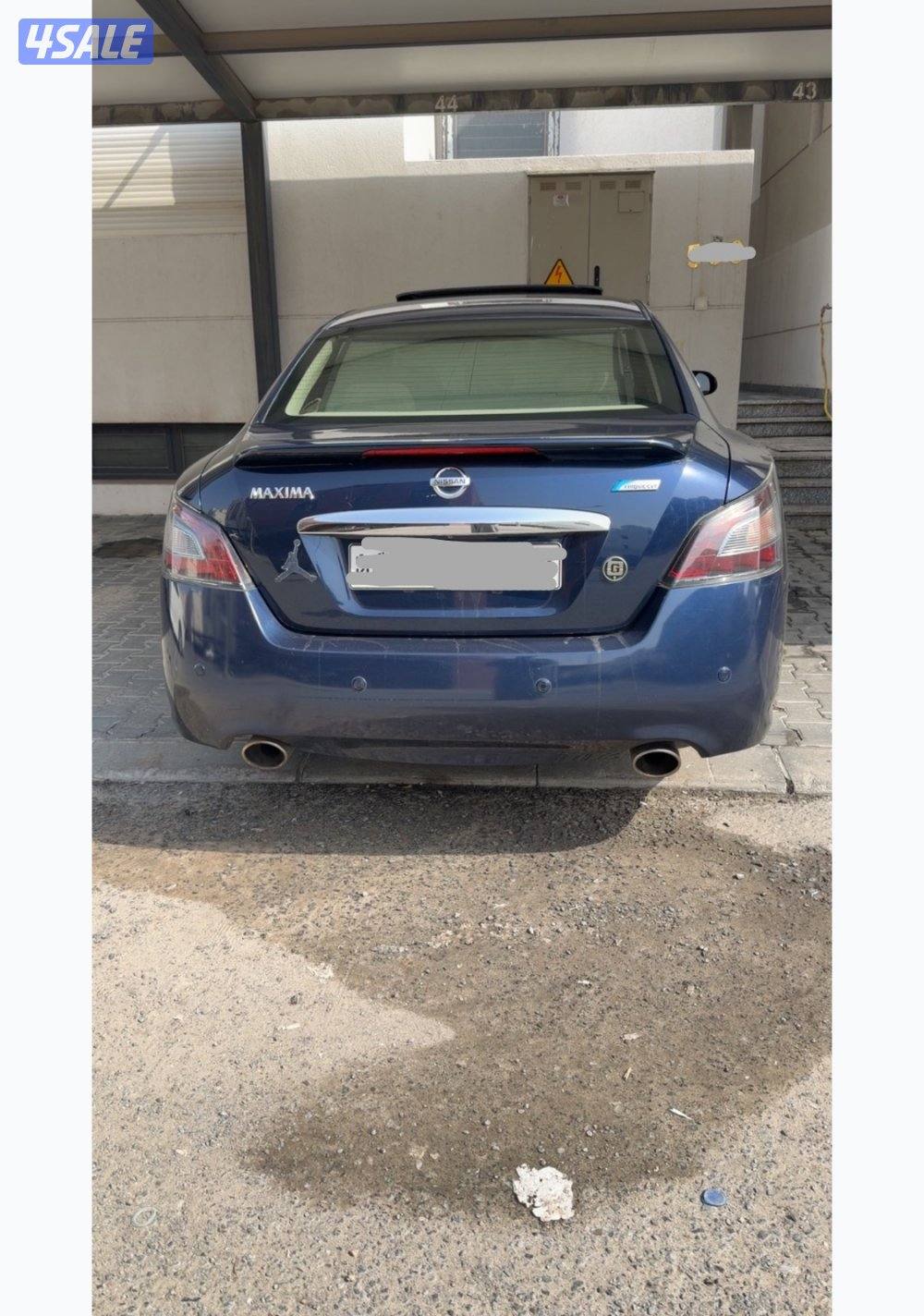 ماكسيما ٢٠١٣1