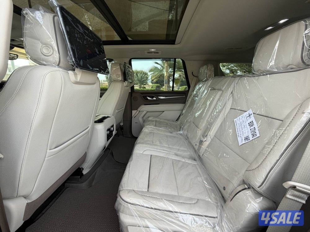 دينالي 2023 عداد 246