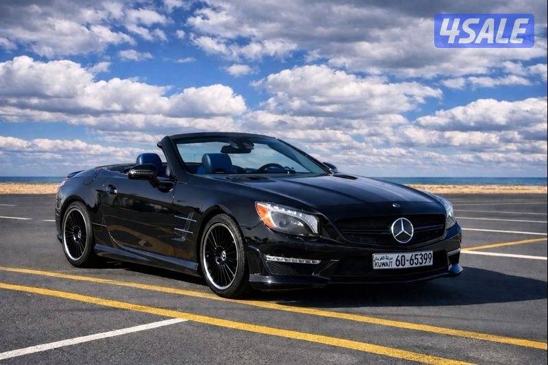 SL 55 20132