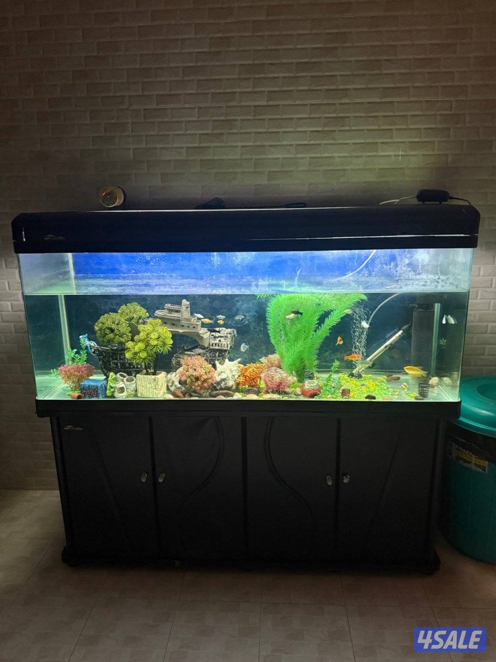 للبيع حوض سمك0