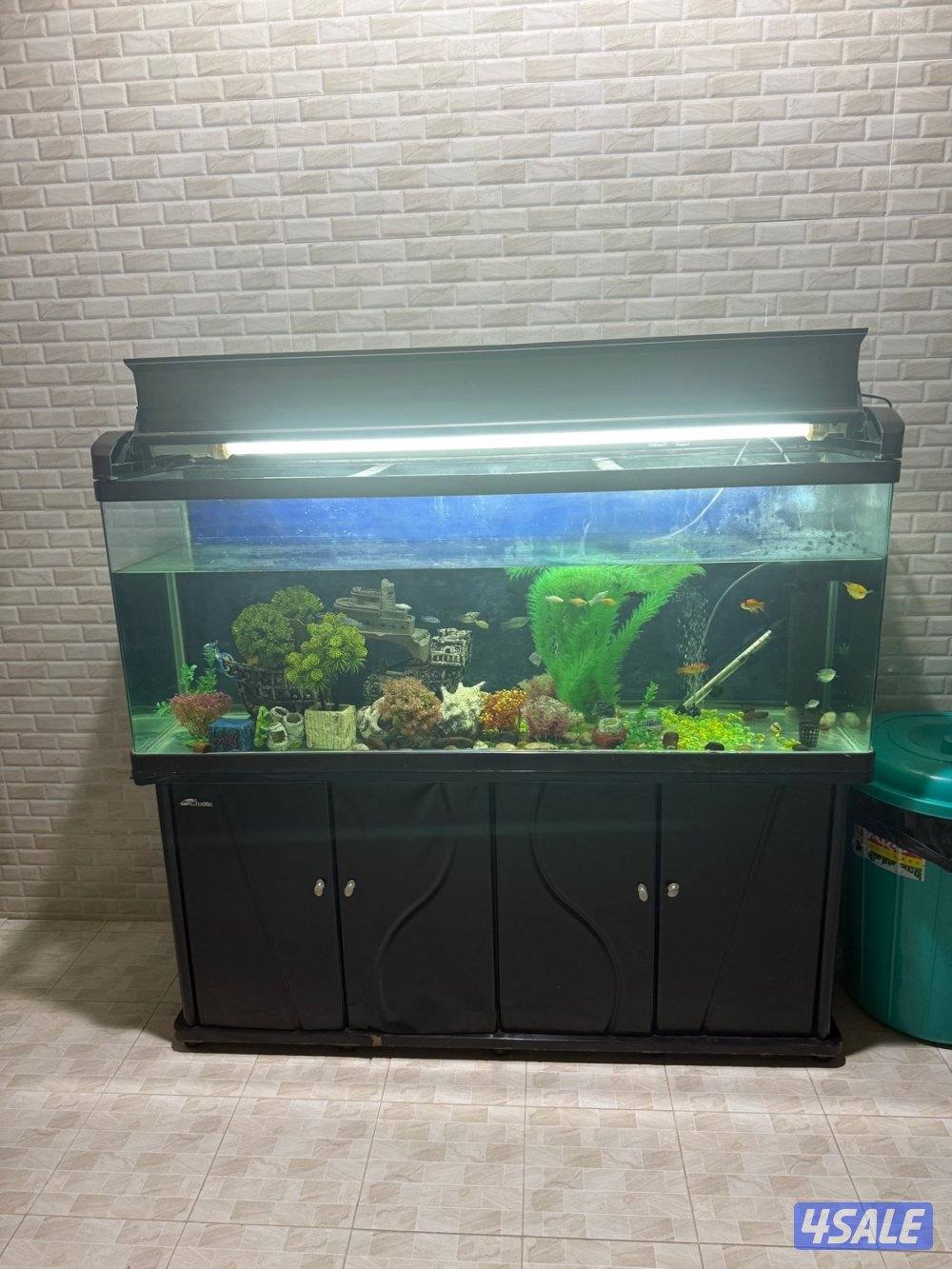 للبيع حوض سمك1