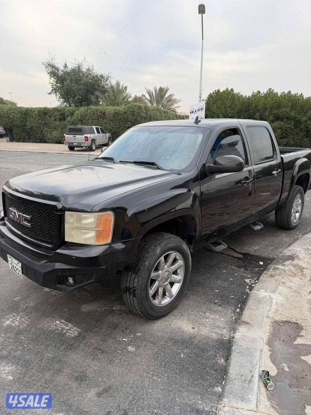 دينالي غمارتين0