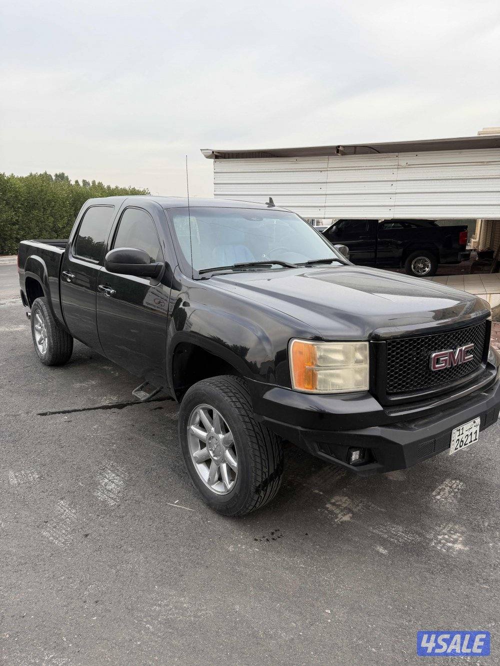 دينالي غمارتين1