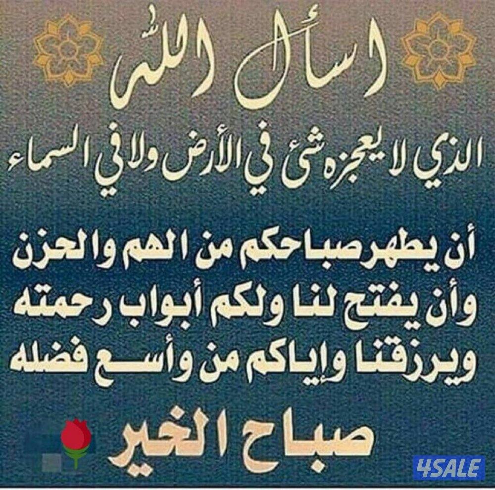 للايجار شقه با الفنيطيس ٣غرف ٣حمام وصاله ومطبخ غرفة خ0