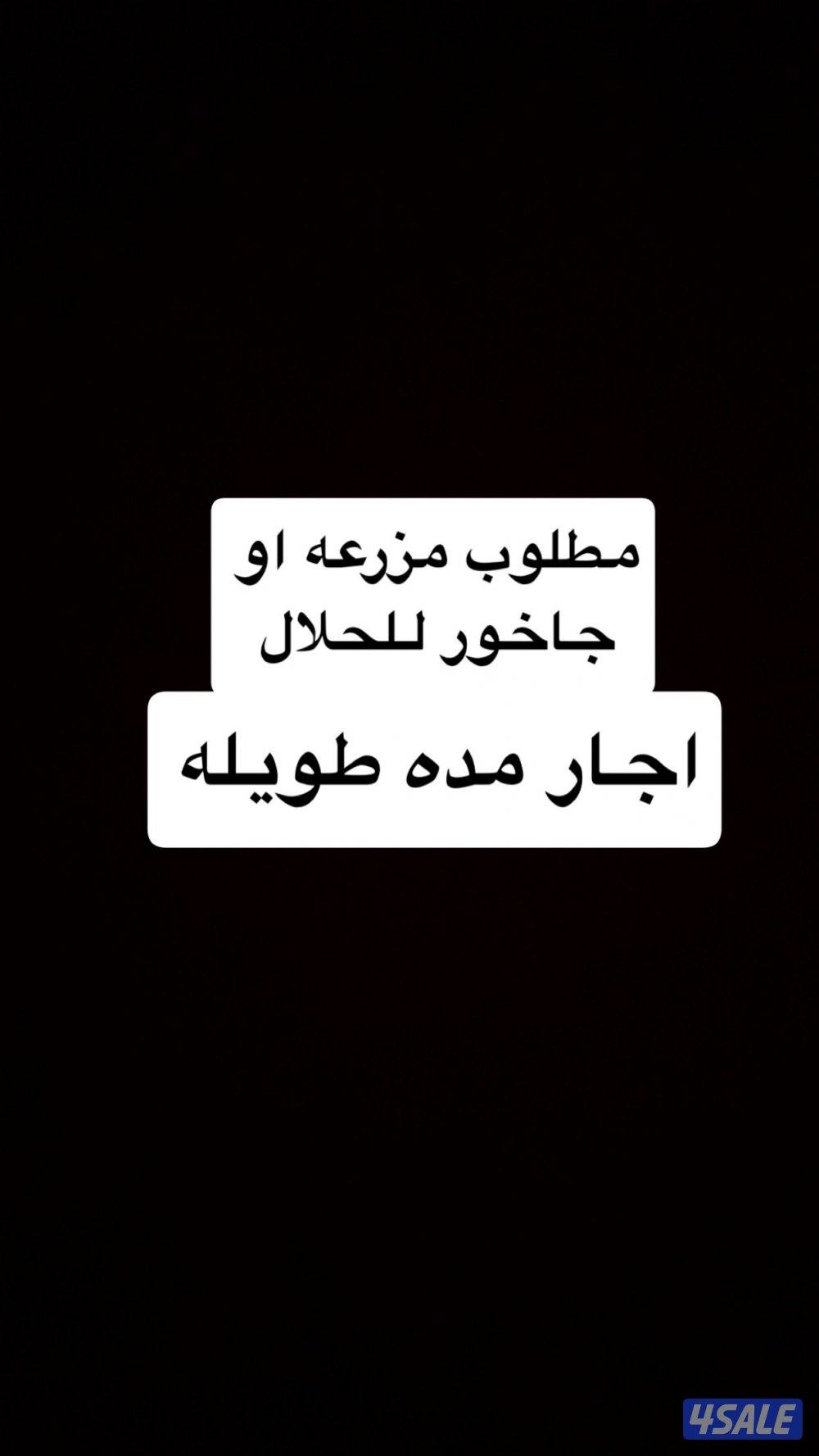 مطلوب مزرعه او جاخور للحلال التواصل واتس اب0