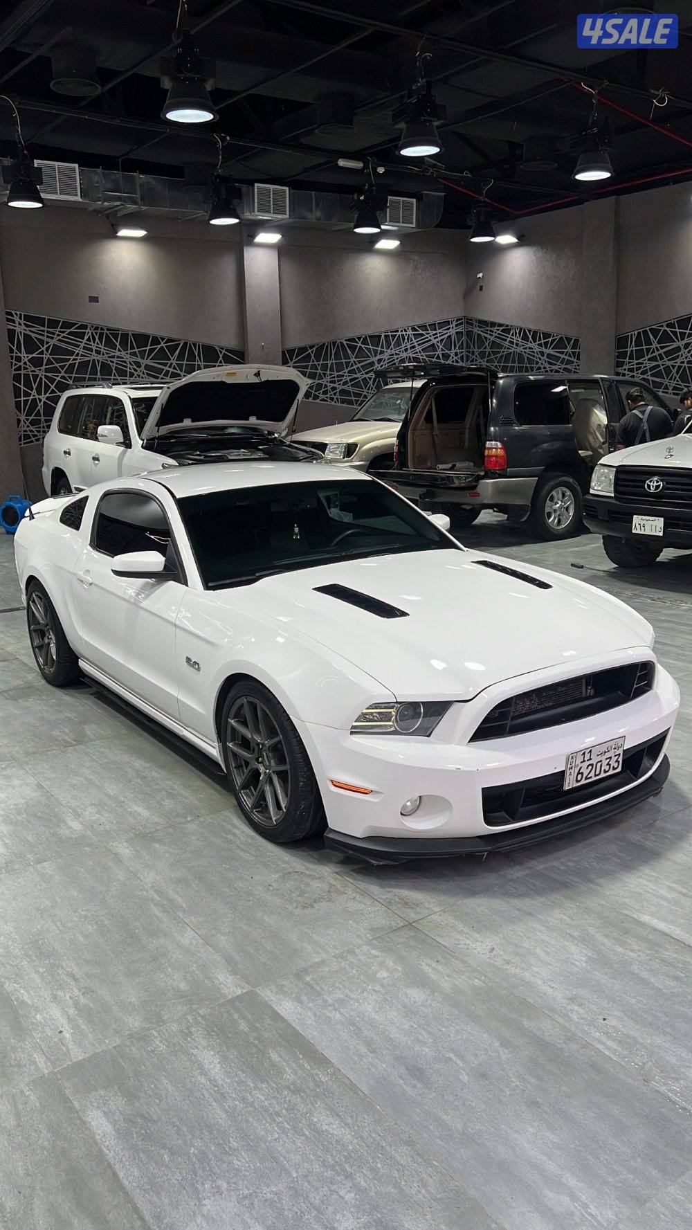 موستنق 2011 شرط الفحص2