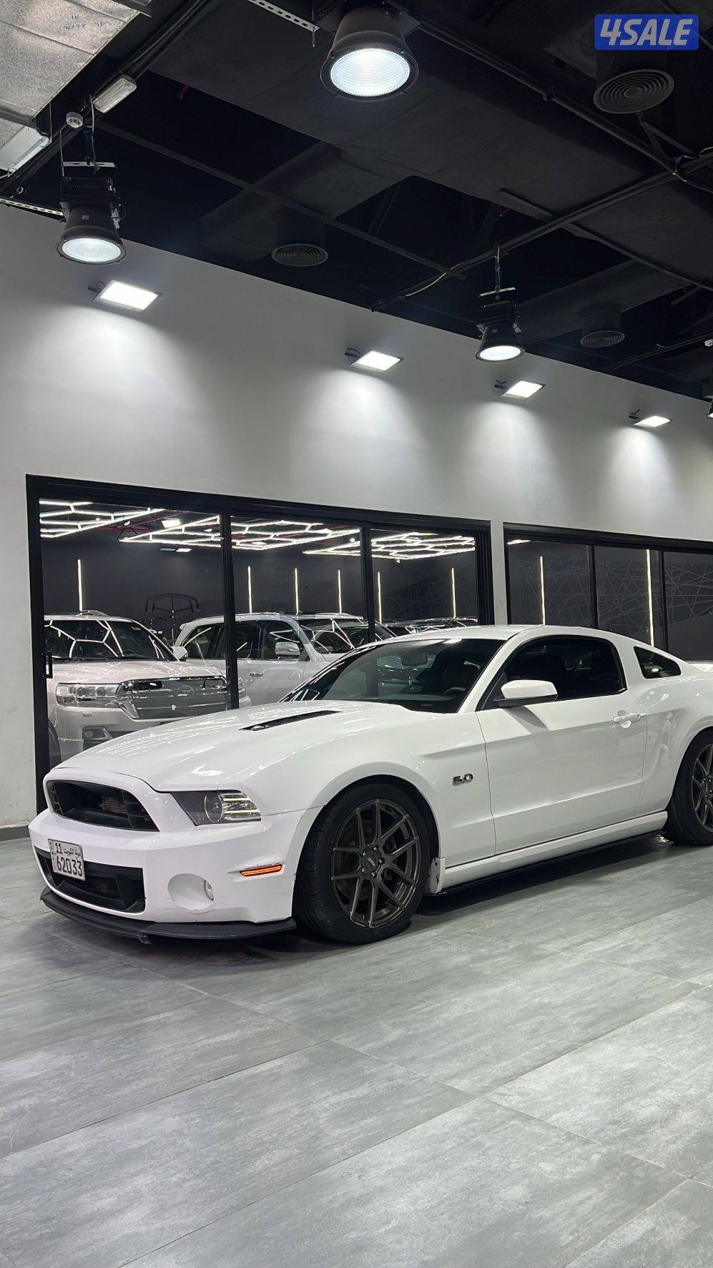 موستنق 2011 شرط الفحص3