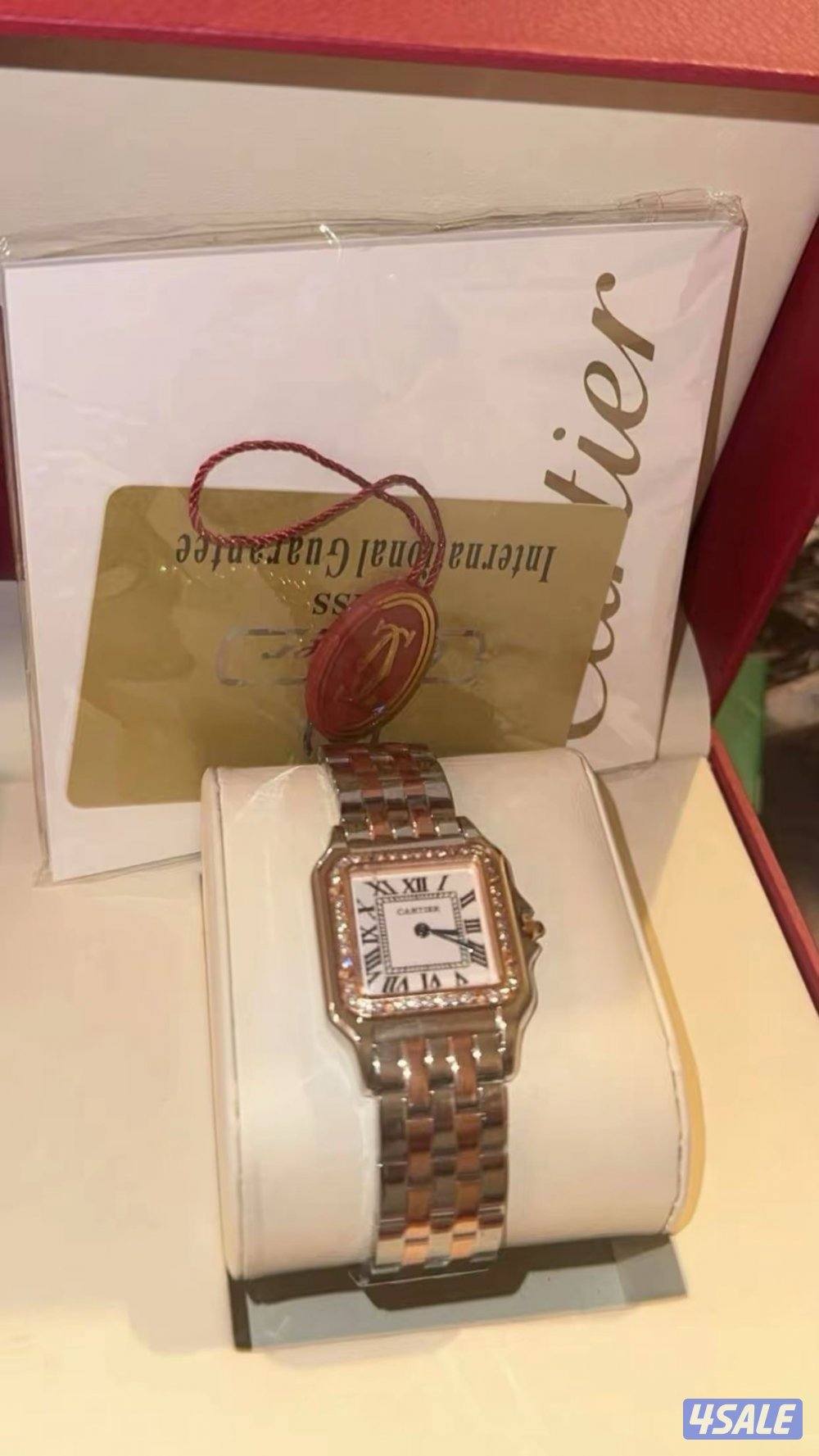 كارتير سانتوس طبق الاصل4