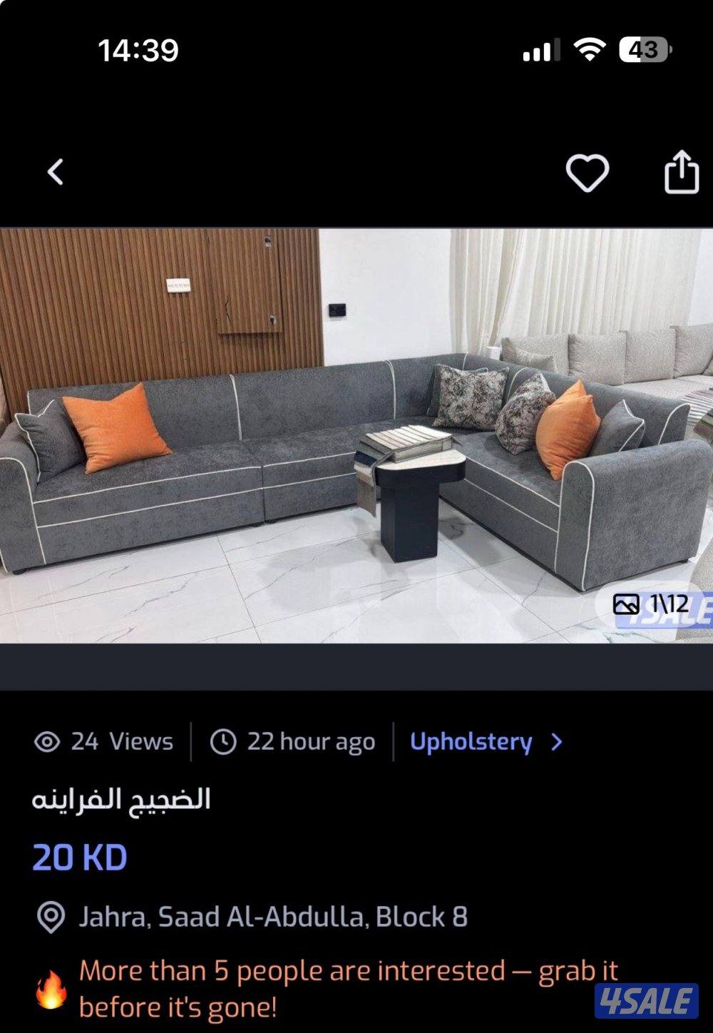 الضجيج الفراينه4