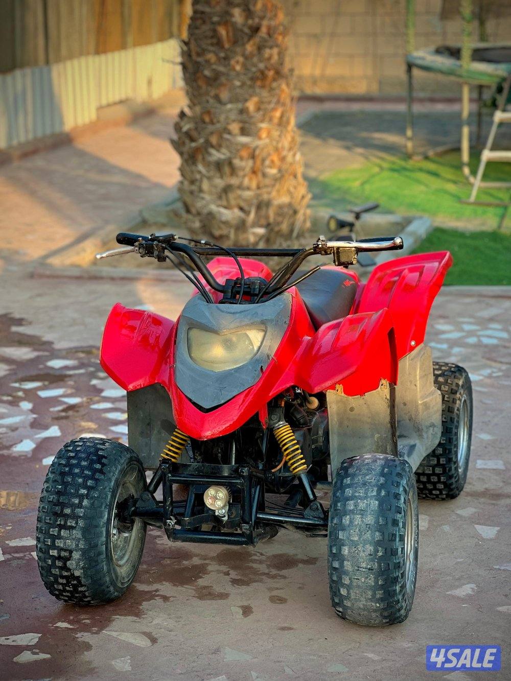 50 CC Amiri Buggy0