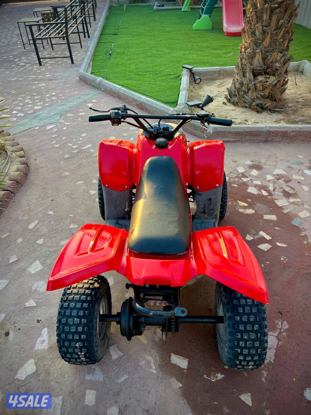 50 CC Amiri Buggy1
